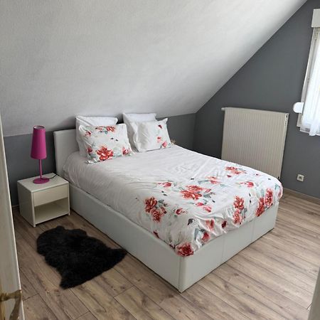 Au Petit Logelbach Appartement Wintzenheim Buitenkant foto