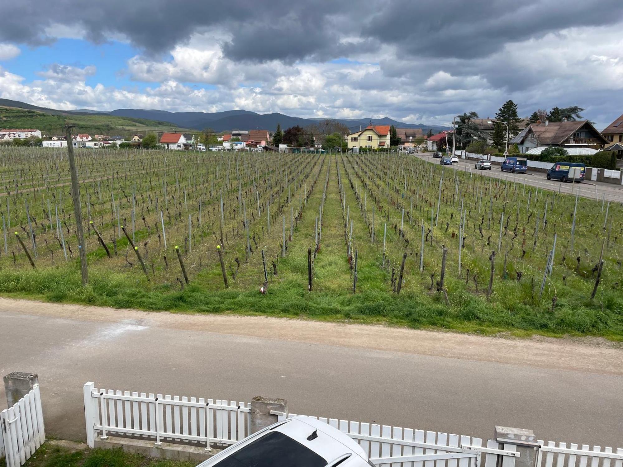Au Petit Logelbach Appartement Wintzenheim Buitenkant foto
